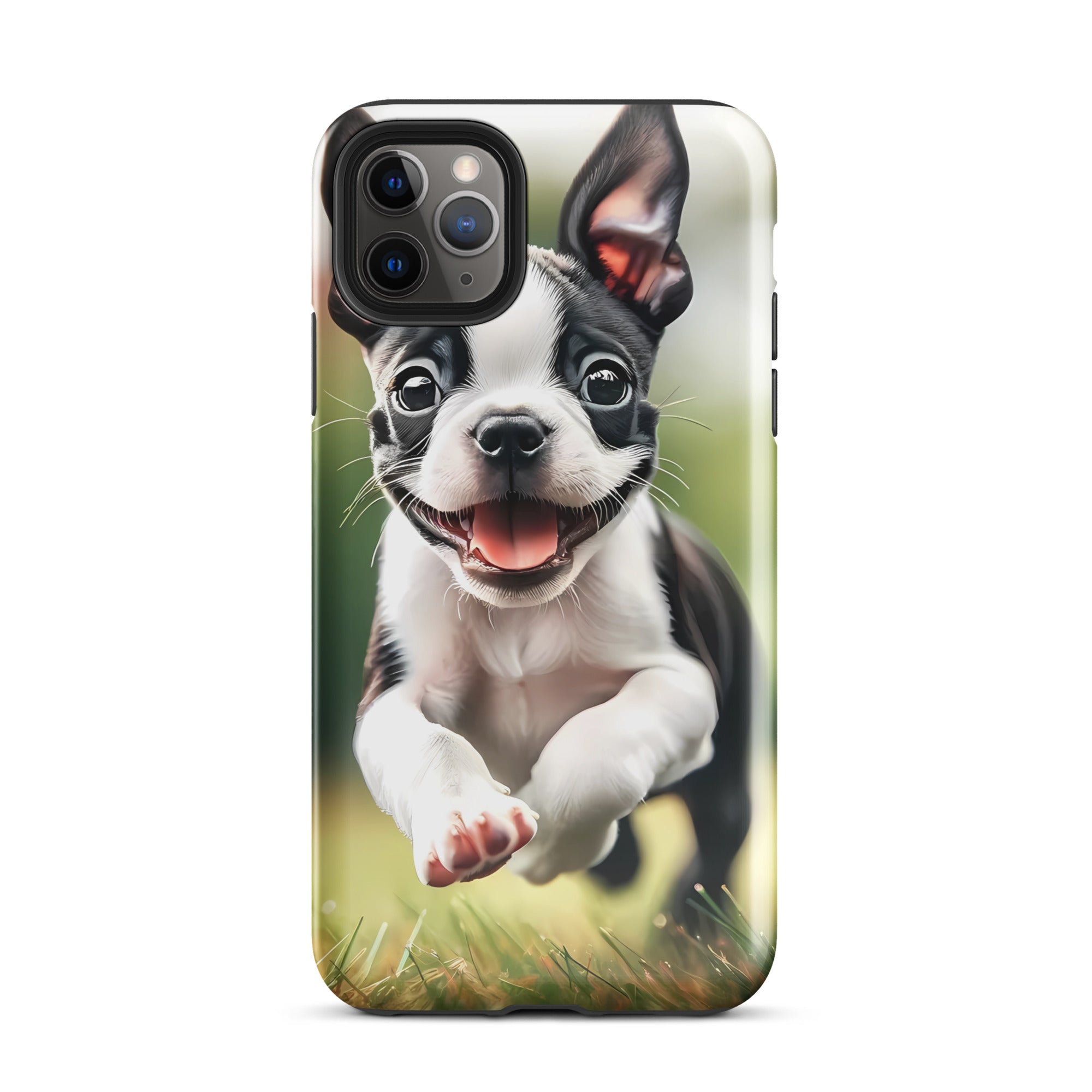 Playful Boston Terrier Puppy Tough Case for iPhone