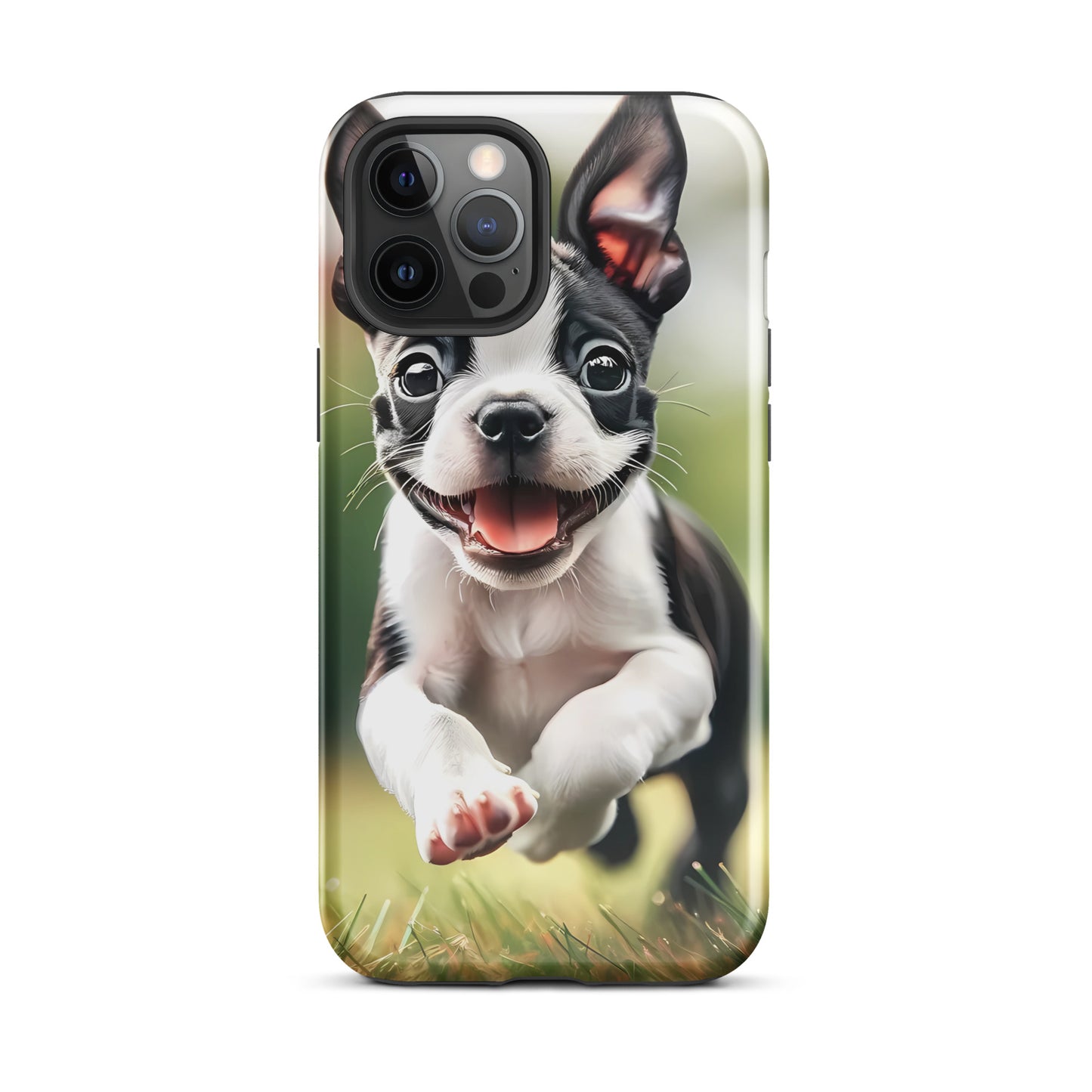 Playful Boston Terrier Puppy Tough Case for iPhone