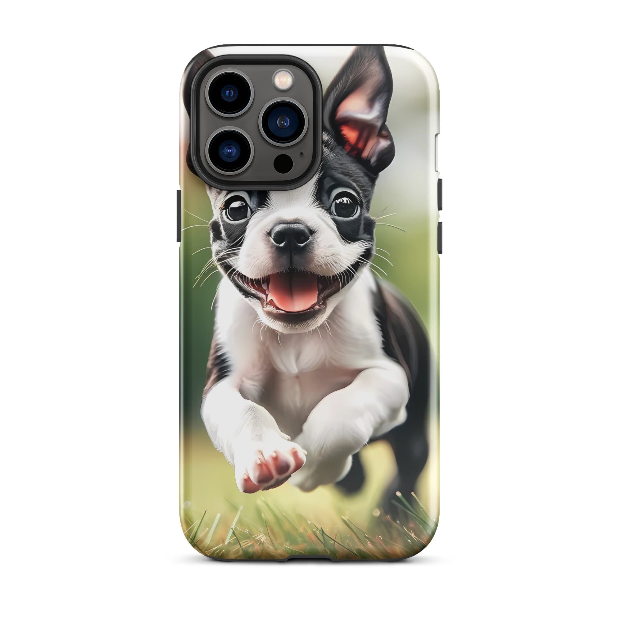 Playful Boston Terrier Puppy Tough Case for iPhone