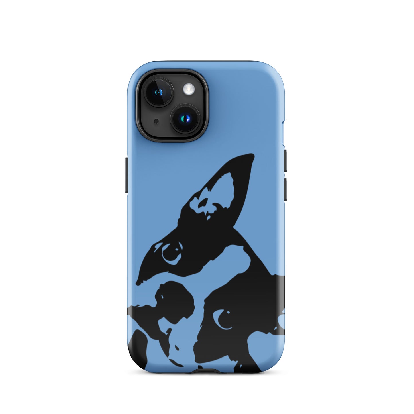 Boston Terrier Head Tilt Tough iPhone case - Jordy Blue
