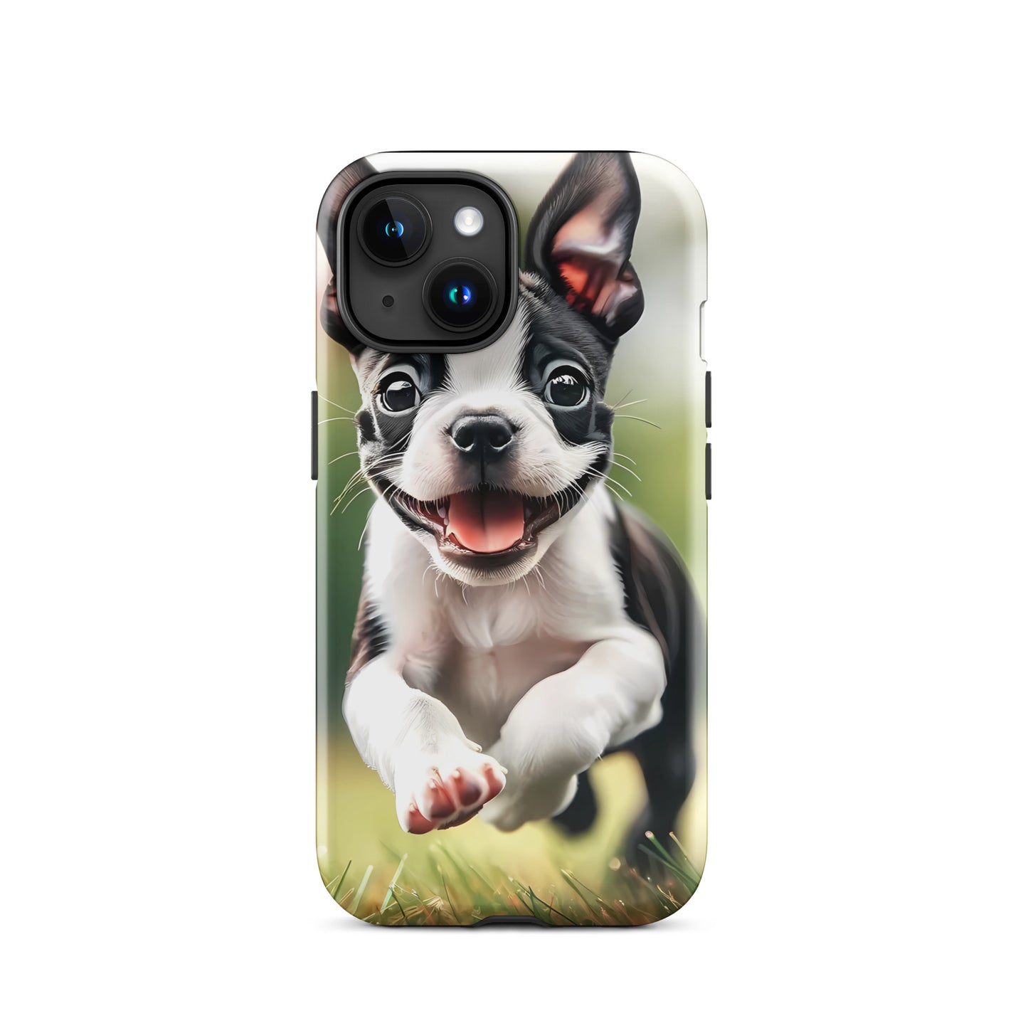 Playful Boston Terrier Puppy Tough Case for iPhone