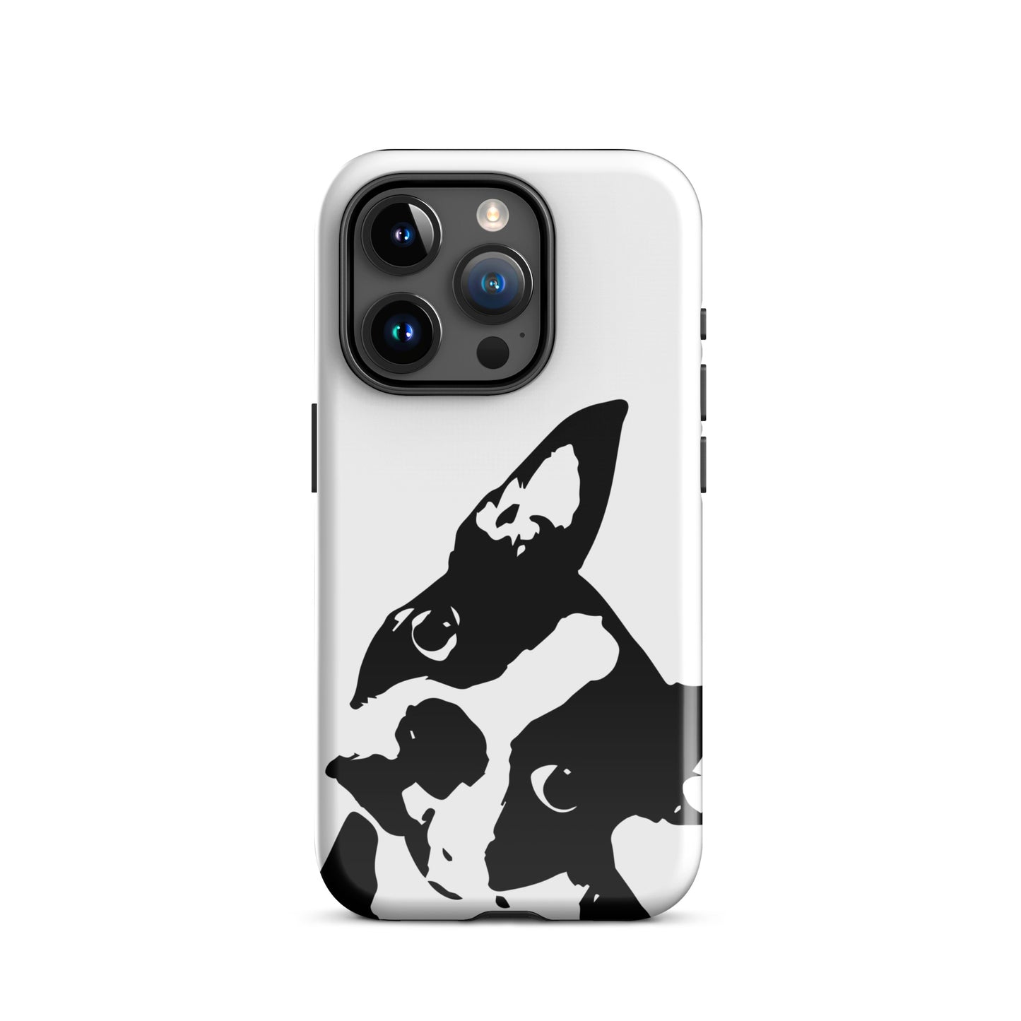 Boston Terrier Head Tilt Tough iPhone case - White