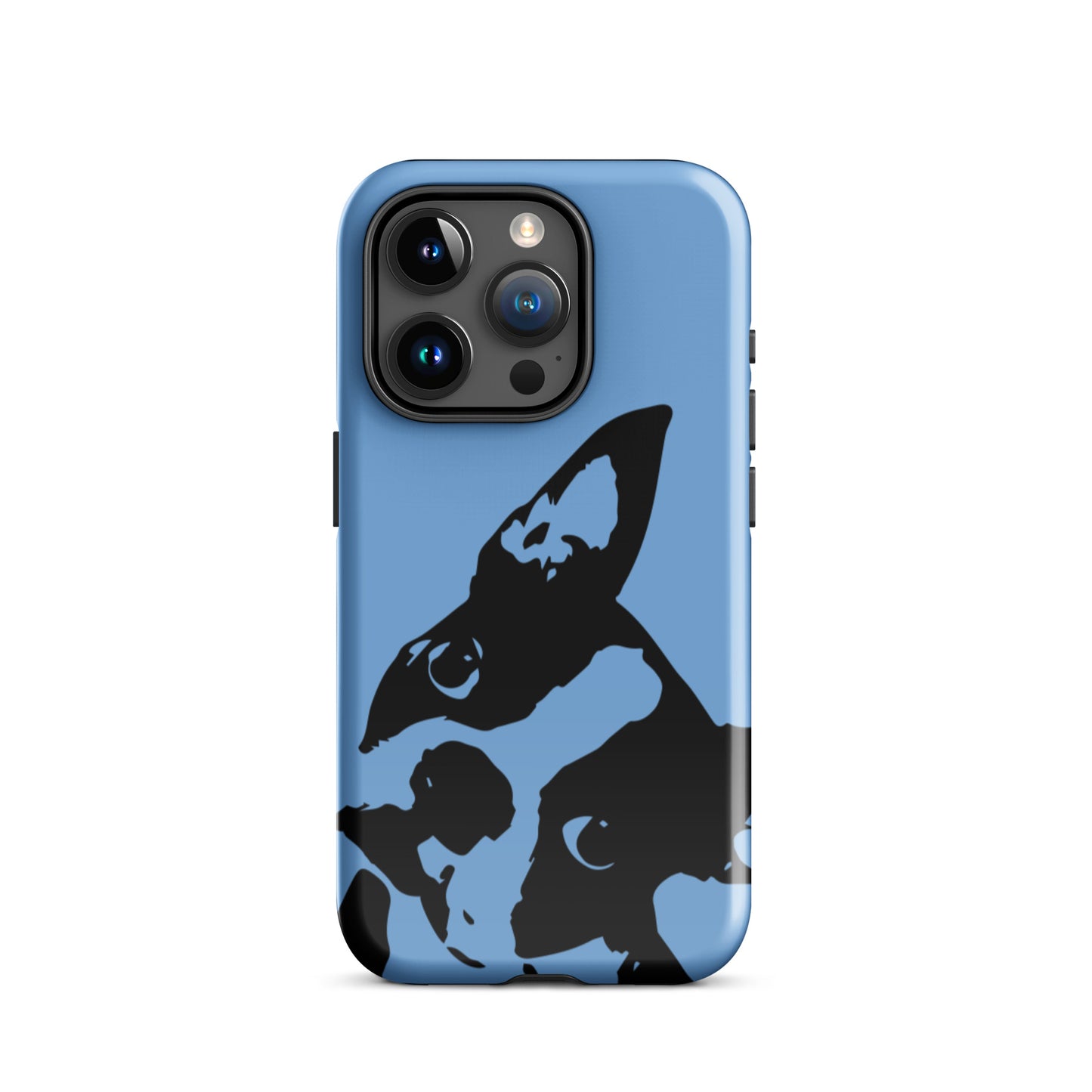 Boston Terrier Head Tilt Tough iPhone case - Jordy Blue