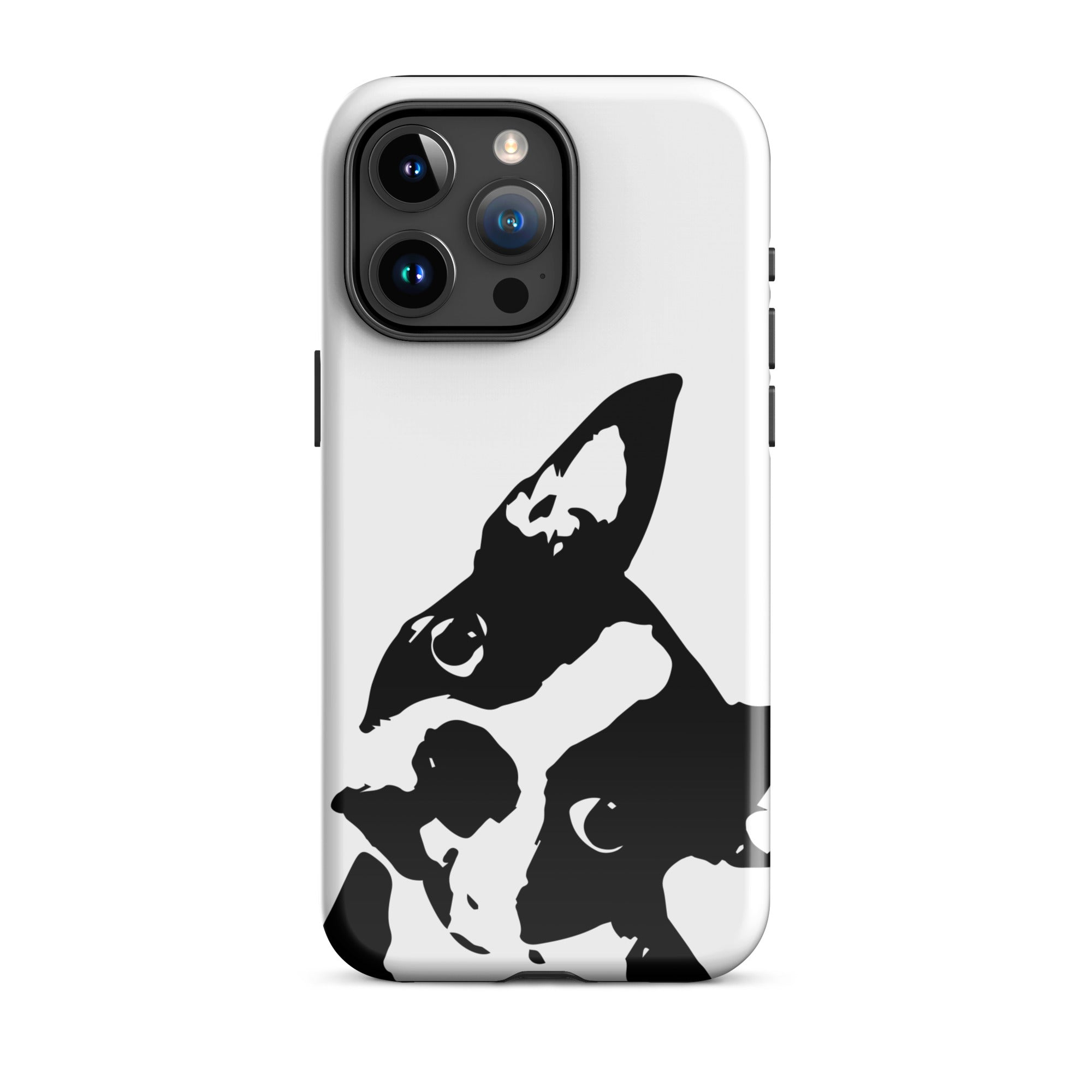 Boston Terrier Head Tilt Tough iPhone case - White