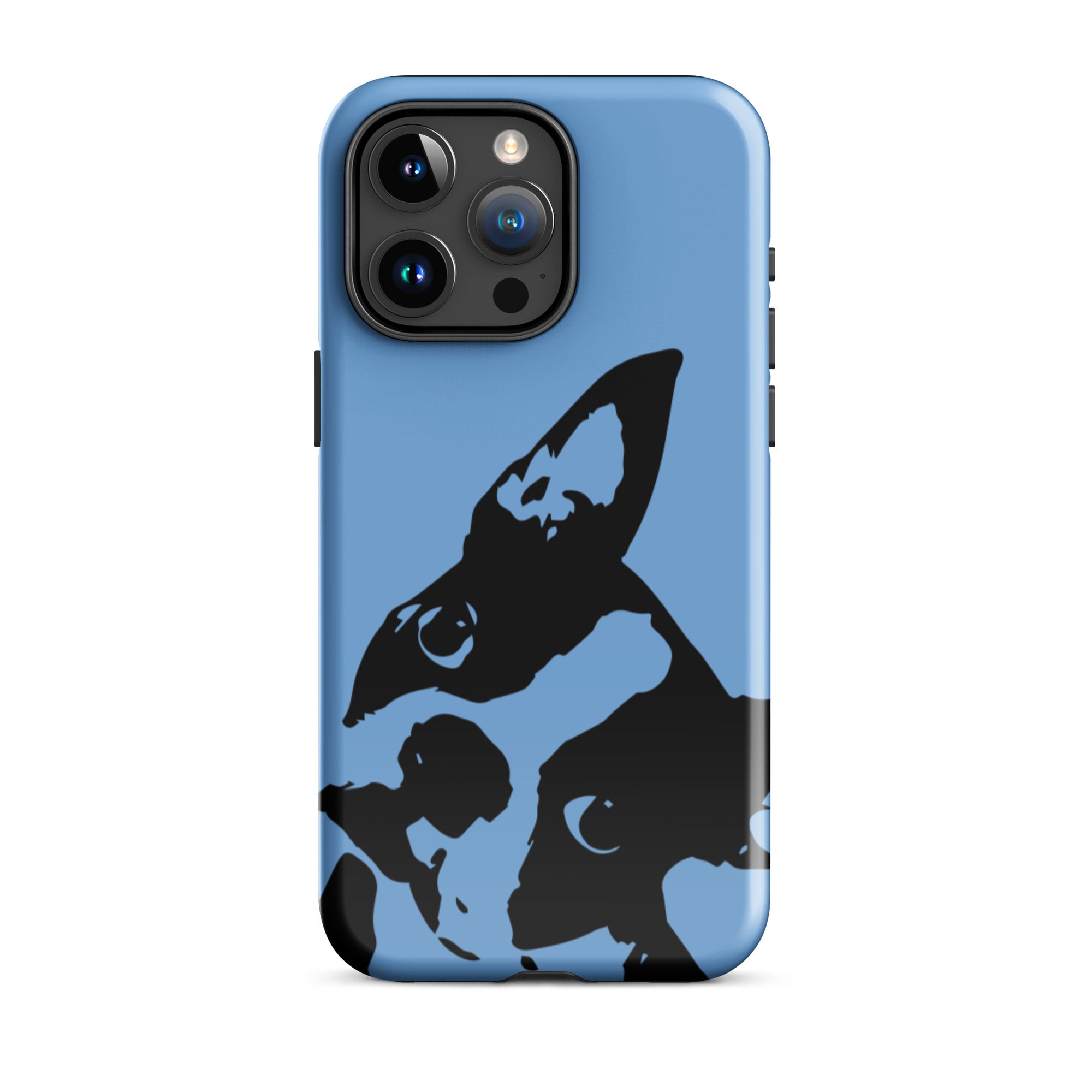 Boston Terrier Head Tilt Tough iPhone case - Jordy Blue