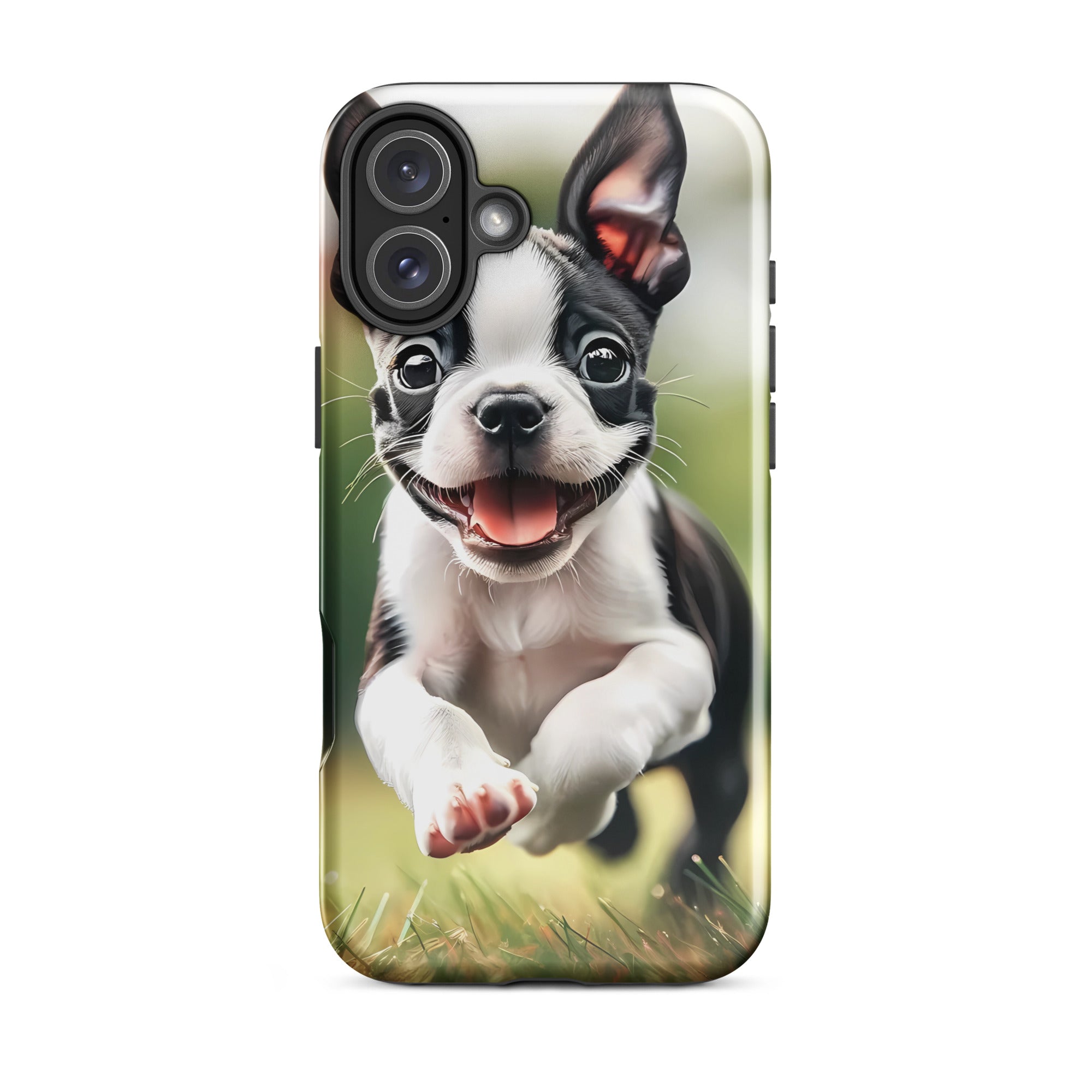Playful Boston Terrier Puppy Tough Case for iPhone