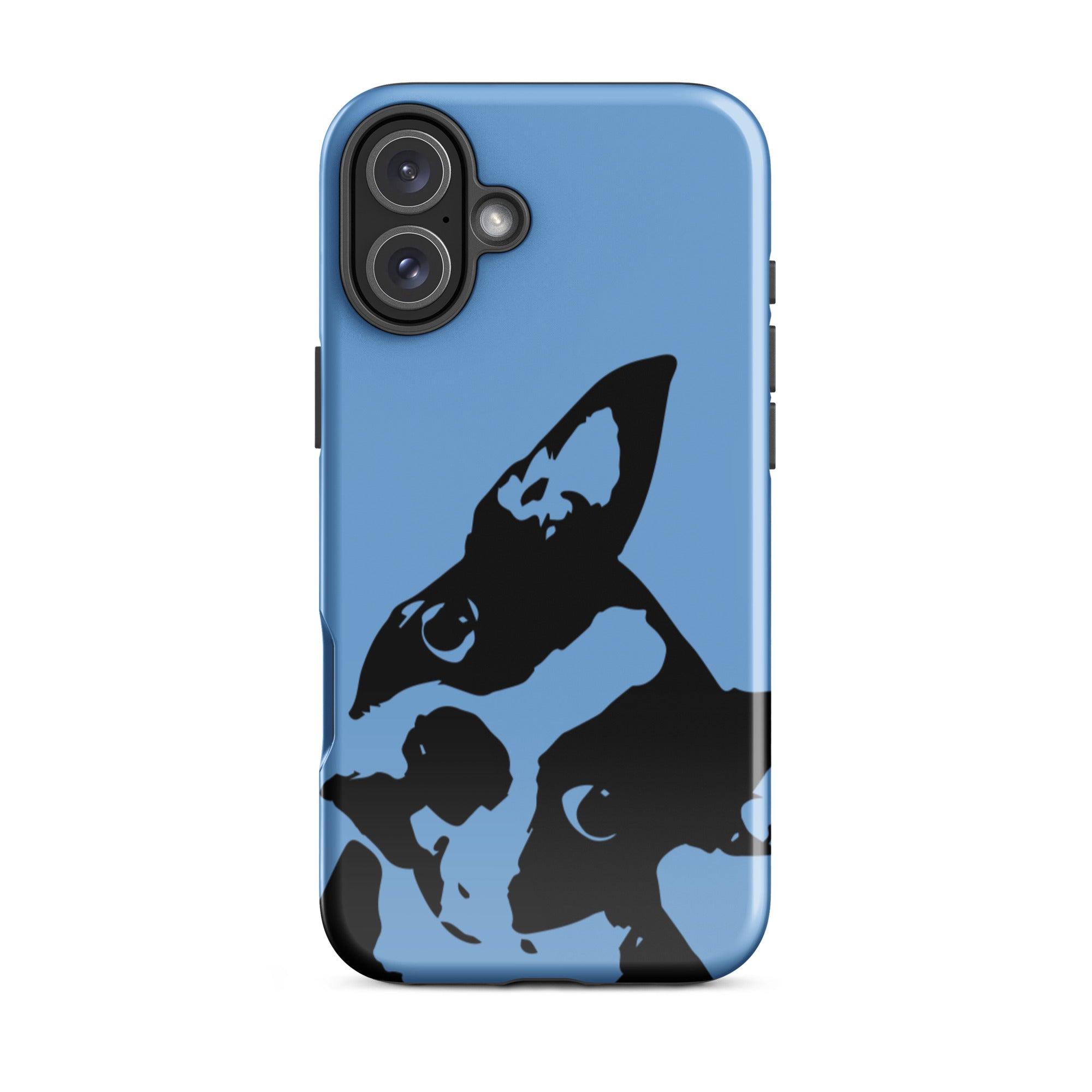 Boston Terrier Head Tilt Tough iPhone case - Jordy Blue