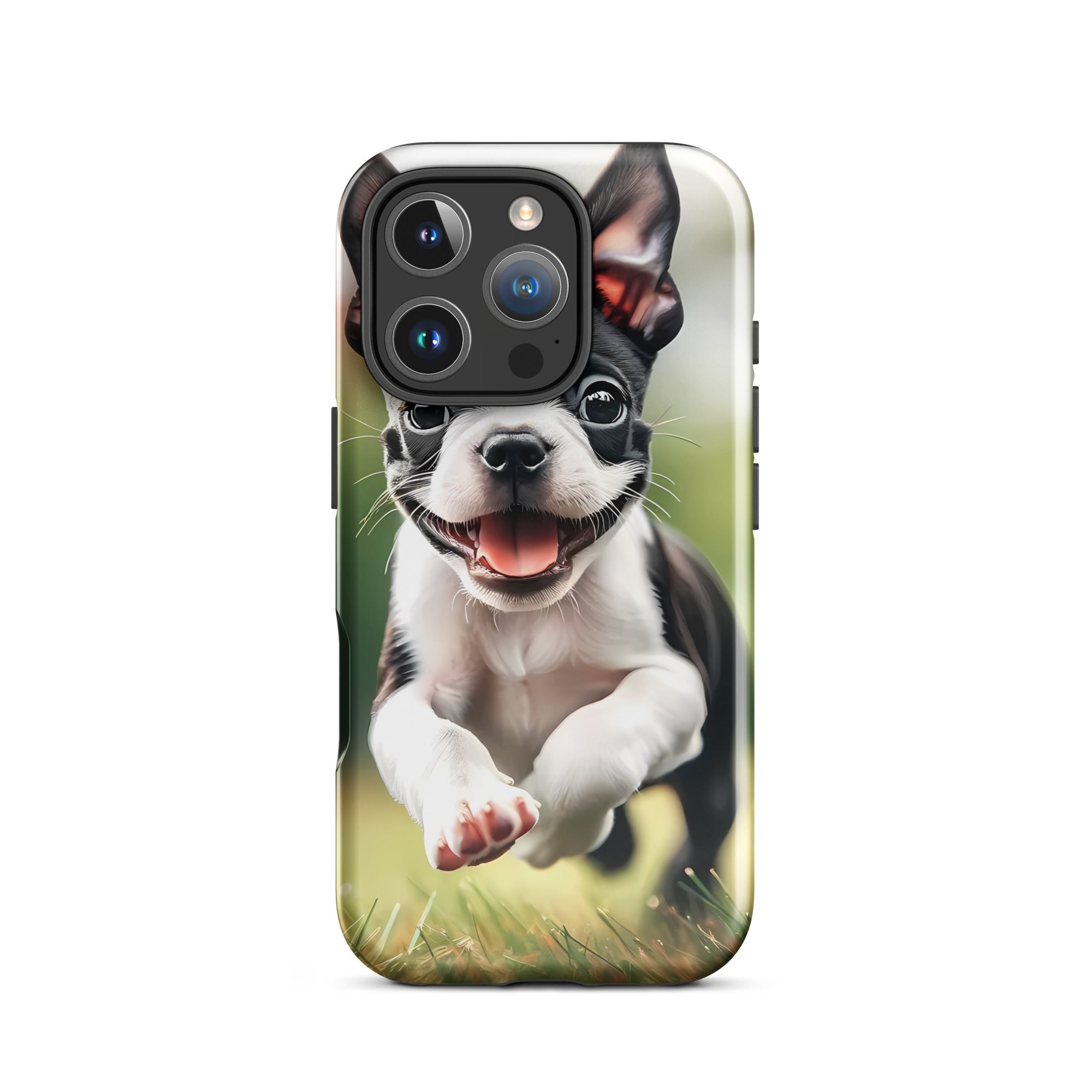 Playful Boston Terrier Puppy Tough Case for iPhone