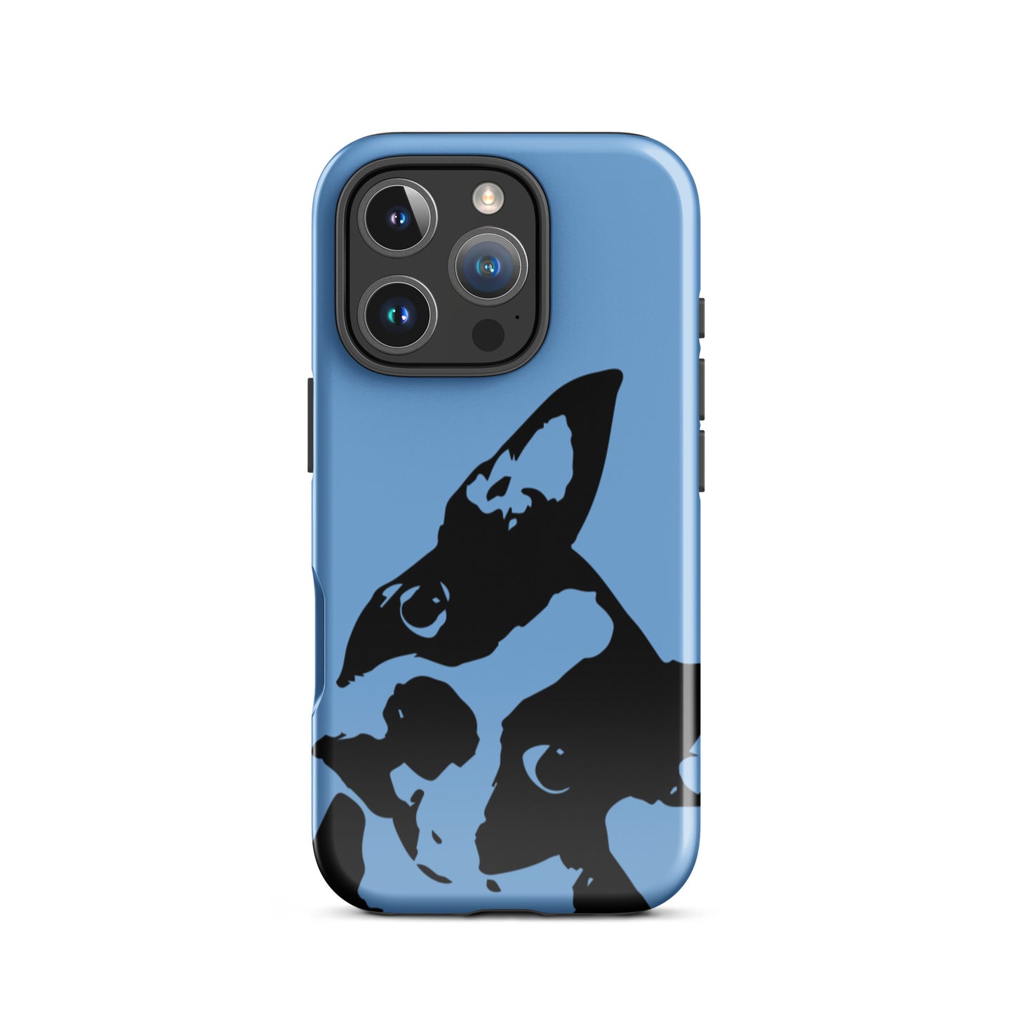 Boston Terrier Head Tilt Tough iPhone case - Jordy Blue