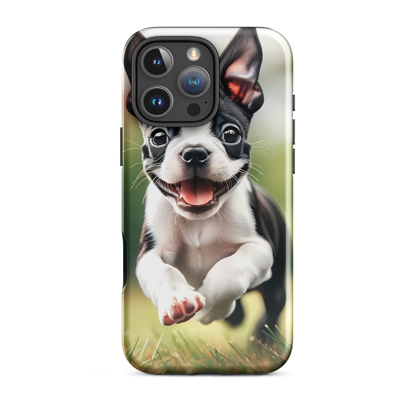 Playful Boston Terrier Puppy Tough Case for iPhone