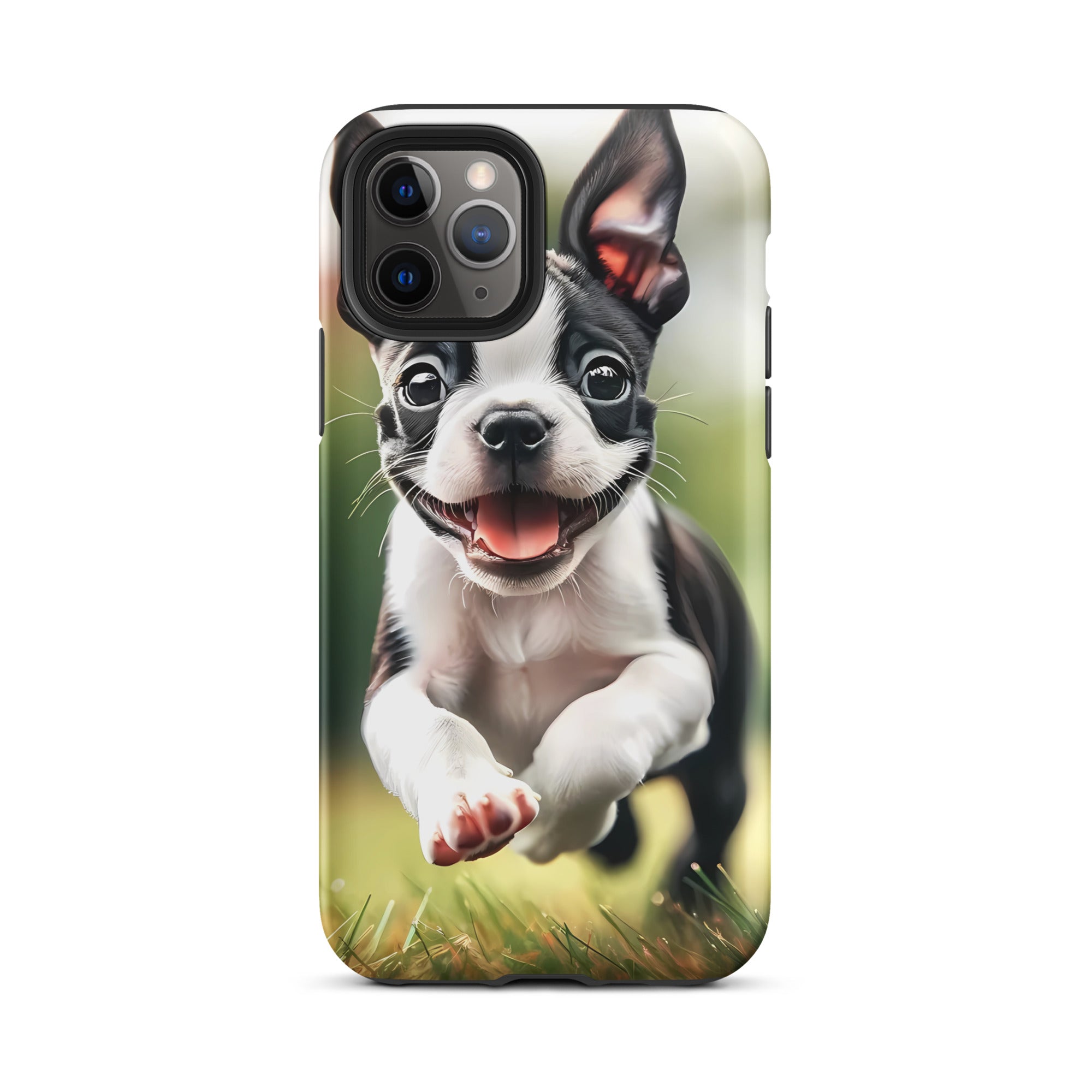 Playful Boston Terrier Puppy Tough Case for iPhone