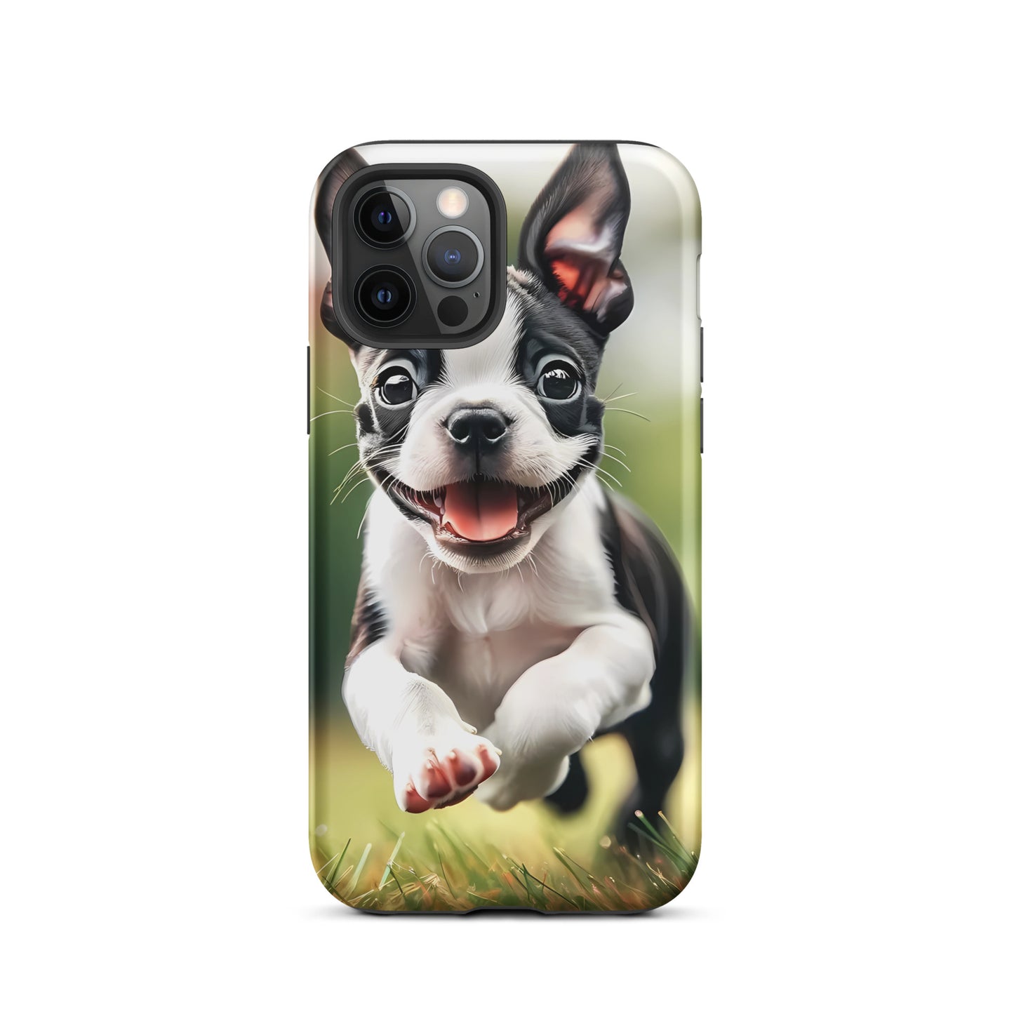 Playful Boston Terrier Puppy Tough Case for iPhone