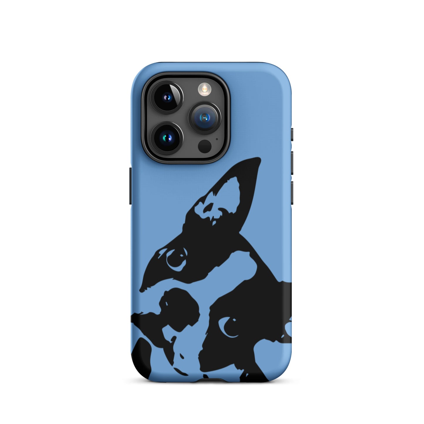 Boston Terrier Head Tilt Tough iPhone case - Jordy Blue