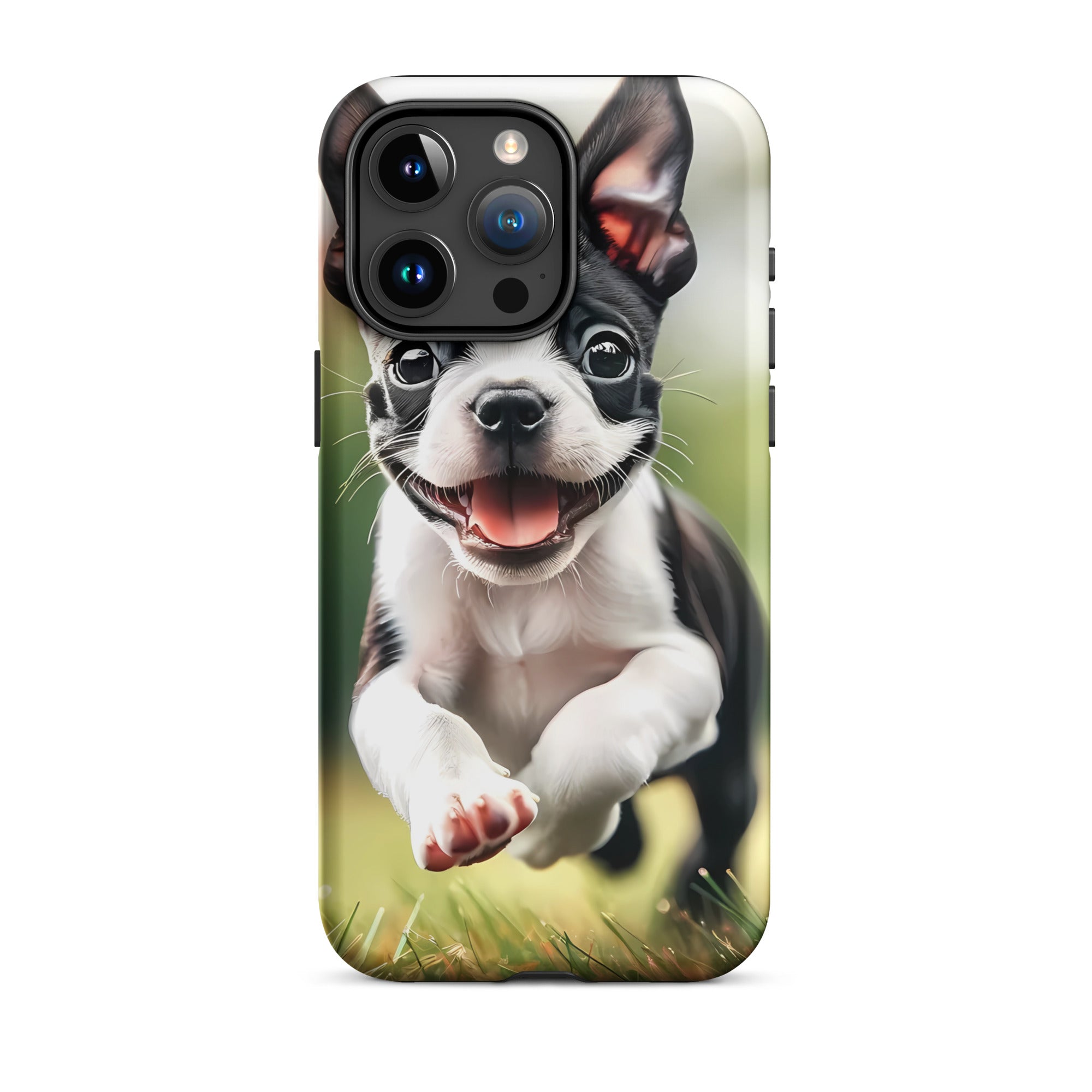 Playful Boston Terrier Puppy Tough Case for iPhone
