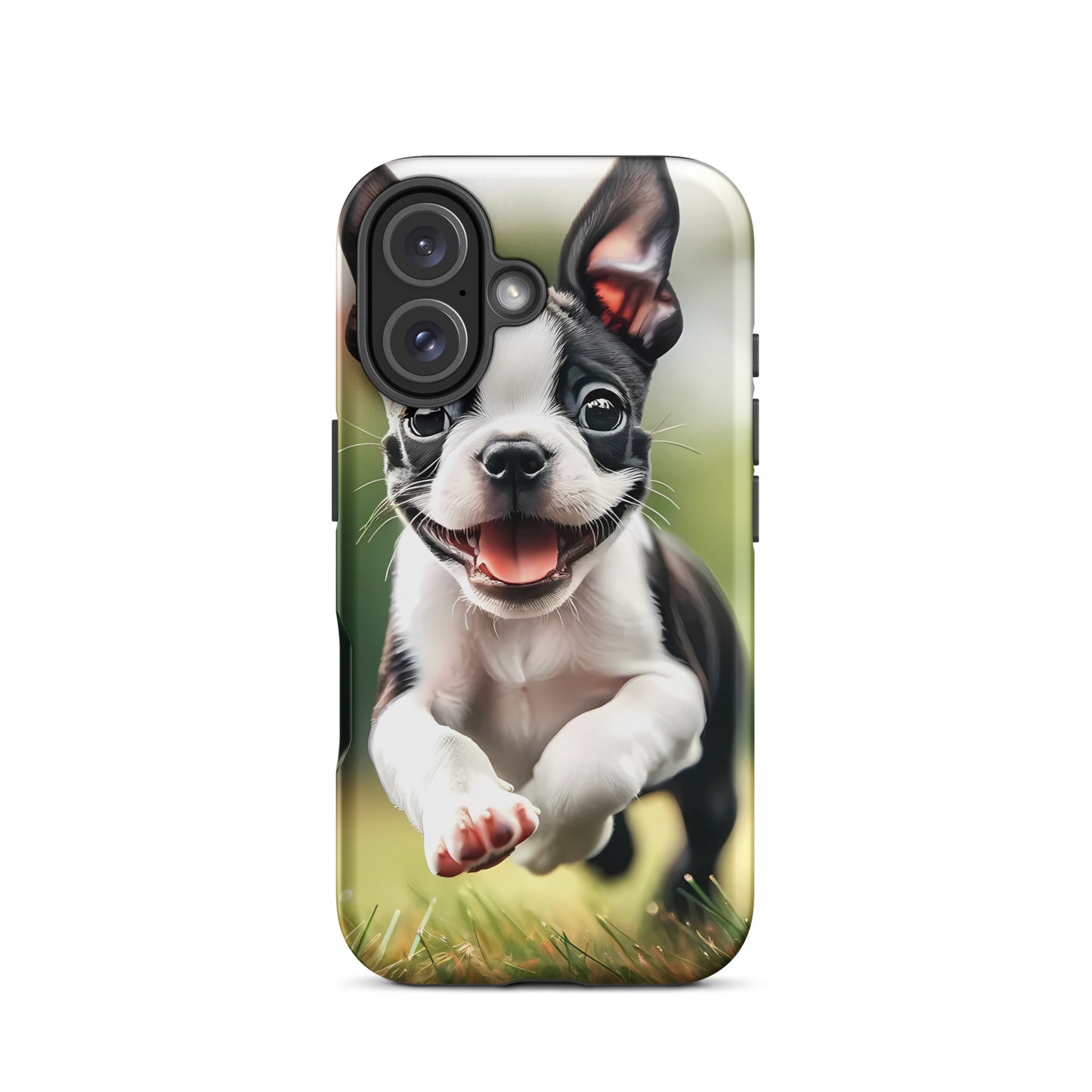Playful Boston Terrier Puppy Tough Case for iPhone