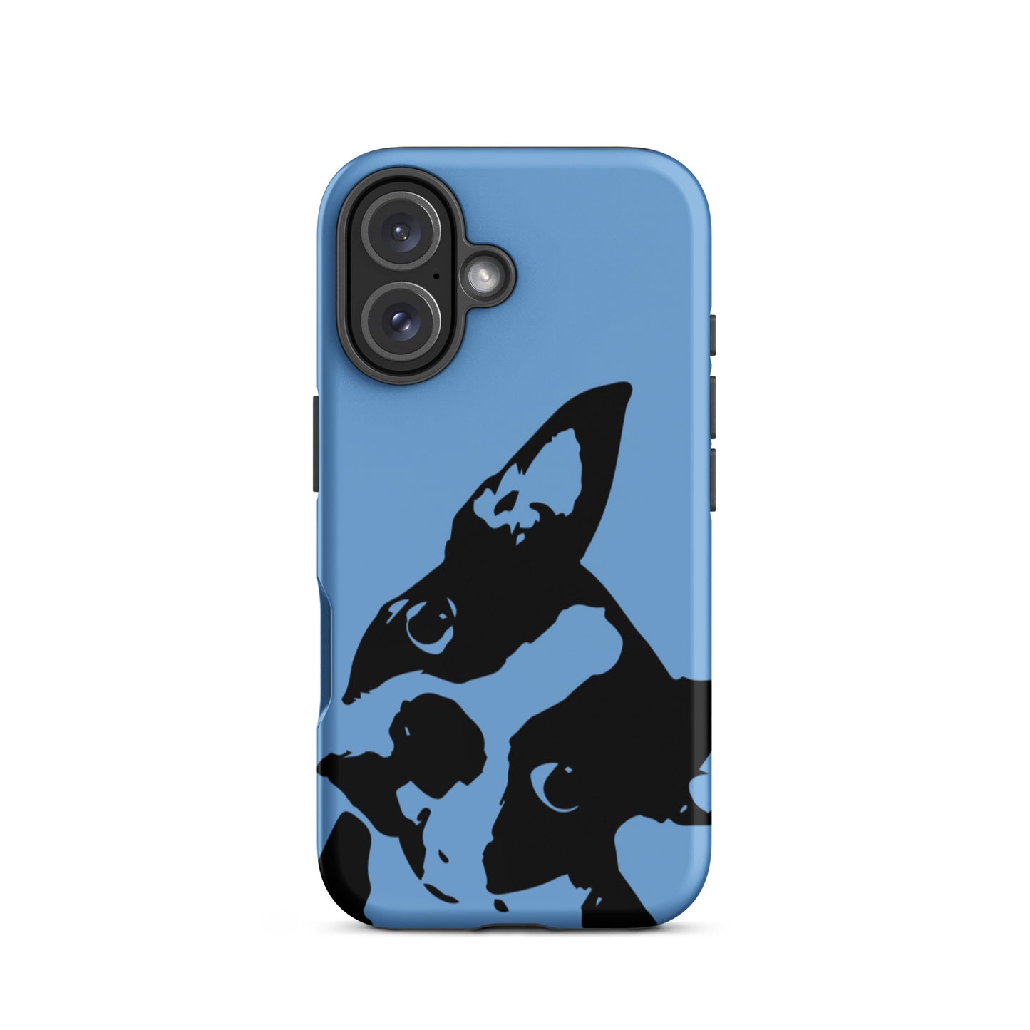 Boston Terrier Head Tilt Tough iPhone case - Jordy Blue
