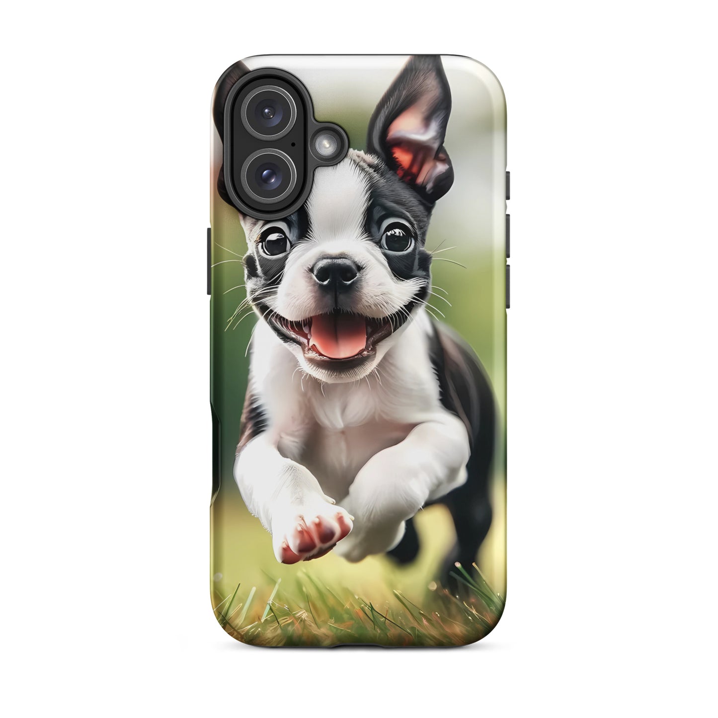 Playful Boston Terrier Puppy Tough Case for iPhone