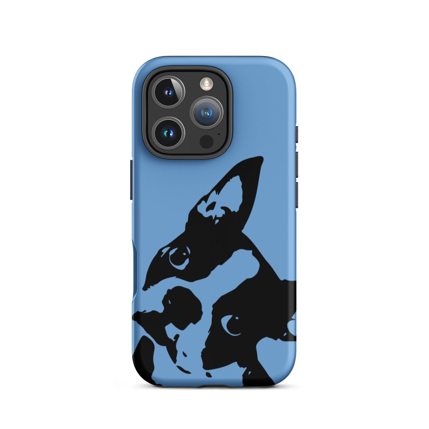 Boston Terrier Head Tilt Tough iPhone case - Jordy Blue