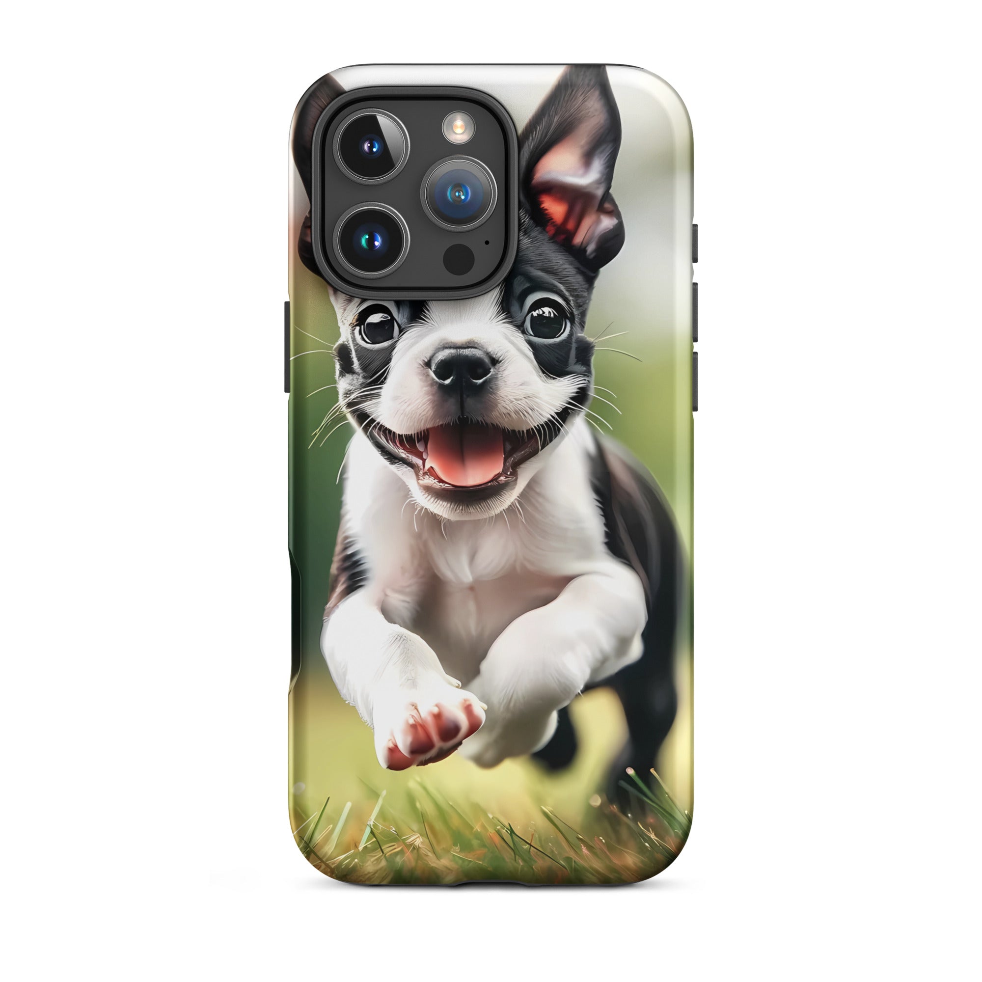 Playful Boston Terrier Puppy Tough Case for iPhone