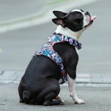 TrueLove Floral Dog Harness .
