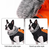 Truelove Weather Guard Ultimate Dog Winter Coat for Outdoor Adventures .