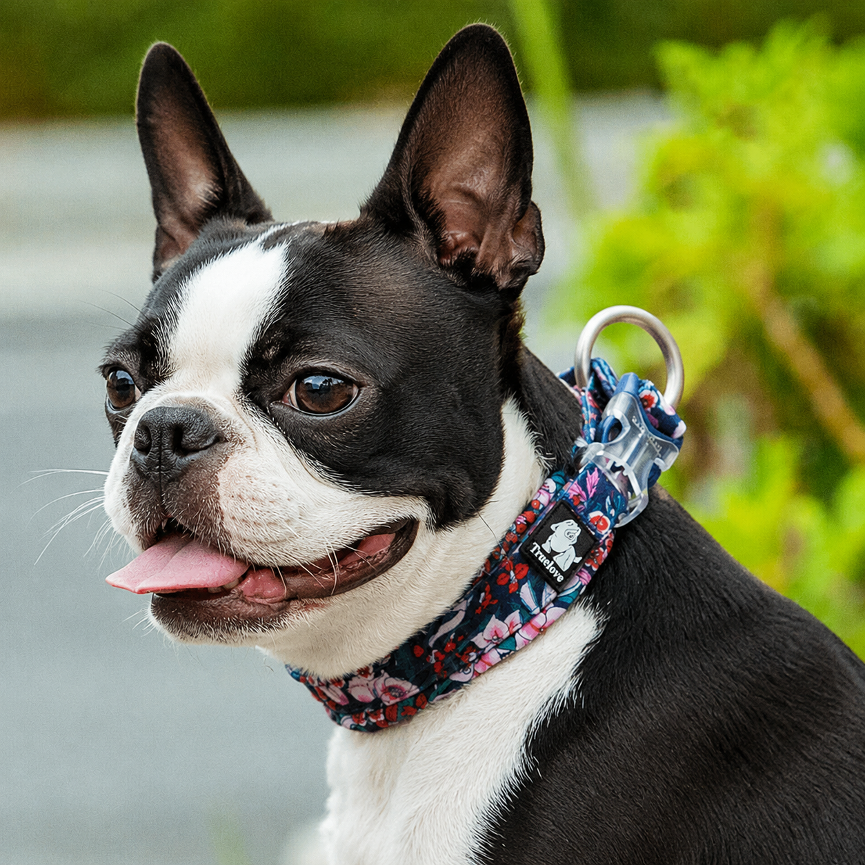 TrueLove Floral Dog Collar .