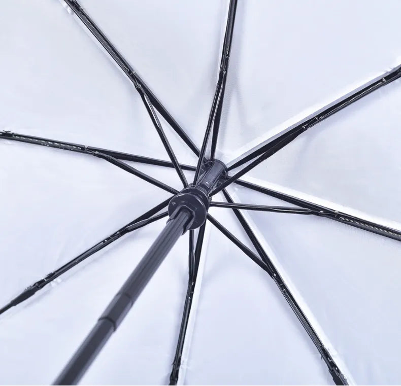 Charlie - Umbrella For Boston Terrier Owners