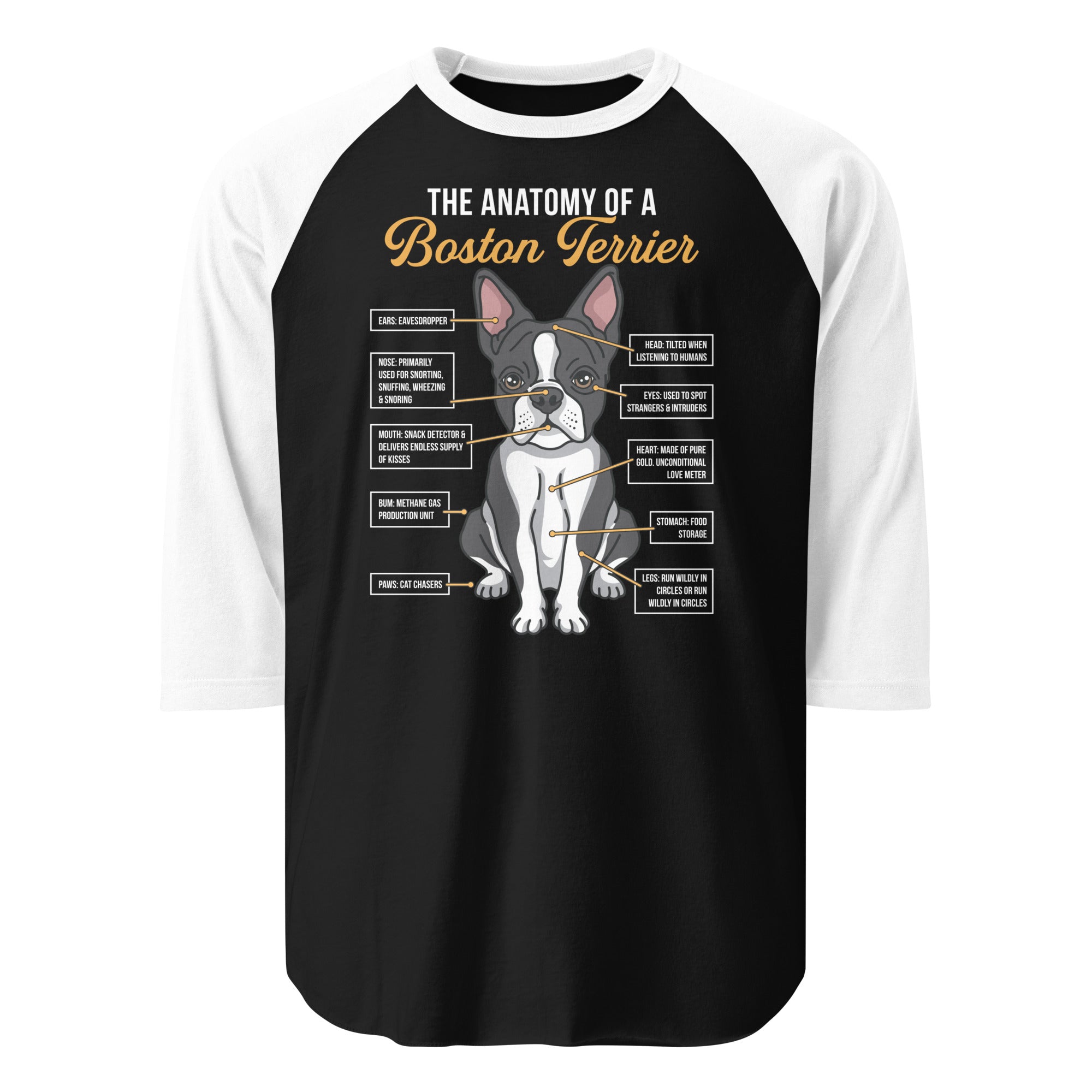 The Anatomy Of A Boston Terrier 3/4 Sleeve Raglan Shirt . Black White