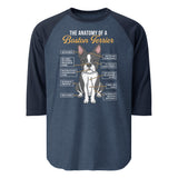 The Anatomy Of A Boston Terrier 3/4 Sleeve Raglan Shirt . Heather Denim Navy