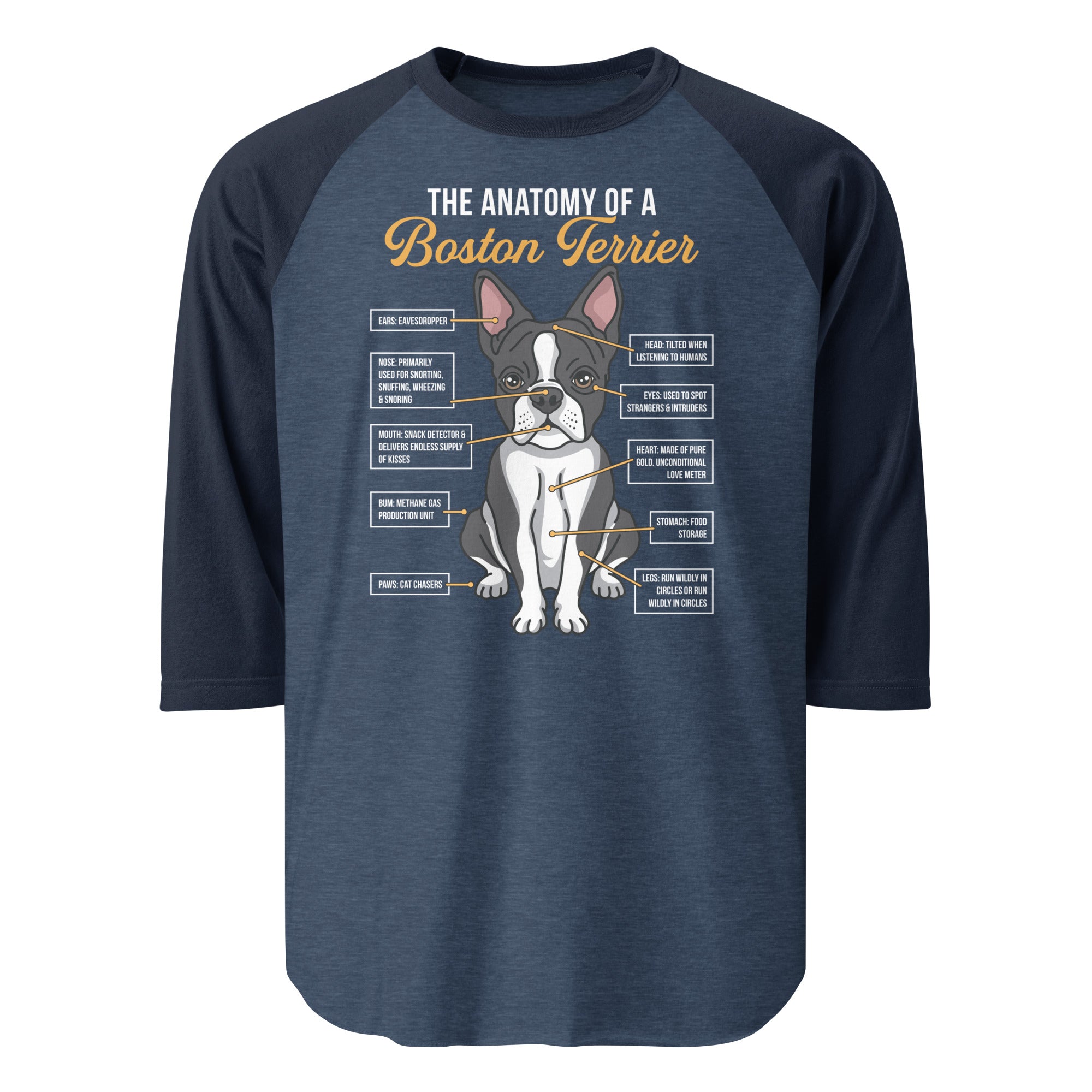 The Anatomy Of A Boston Terrier 3/4 Sleeve Raglan Shirt . Heather Denim Navy