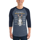 The Anatomy Of A Boston Terrier 3/4 Sleeve Raglan Shirt .
