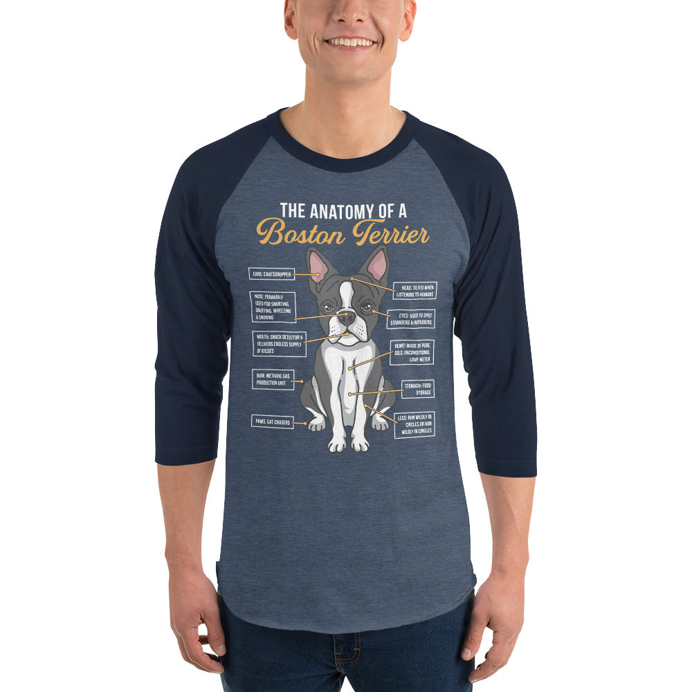The Anatomy Of A Boston Terrier 3/4 Sleeve Raglan Shirt .
