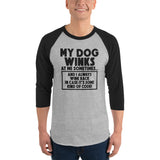 My Dog Winks At Me Sometimes And I Always Wink Back 3/4 Sleeve Raglan Shirt .