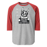 Boston Terrier Heart Stealer 3/4 Sleeve Raglan Shirt . Heather Grey Heather Red