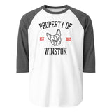 Property Of My Dog Custom Unisex 3/4 Sleeve Raglan Shirt . White Heather Charcoal