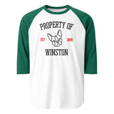 Property Of My Dog Custom Unisex 3/4 Sleeve Raglan Shirt . White Kelly