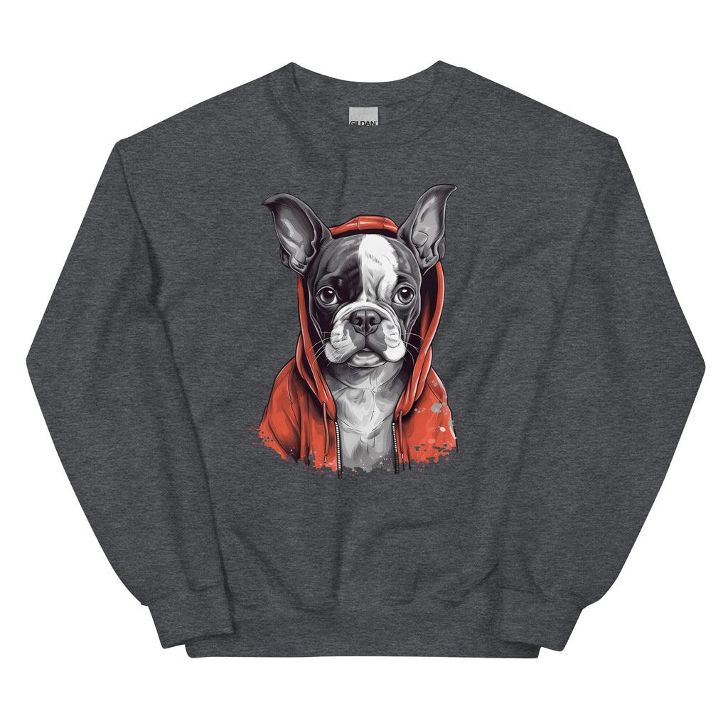 Boston Terrier in a Red Hoodie Sweatshirt