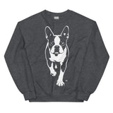 Boston Terrier Stencil Graphic – Minimalist Dog Lover Unisex Sweatshirt . Dark Heather