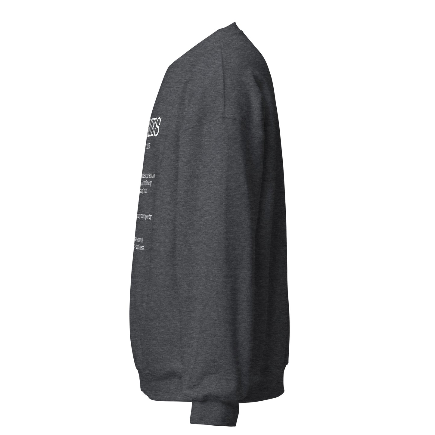 Zoomies Definition Unisex Sweatshirt