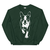Boston Terrier Stencil Graphic – Minimalist Dog Lover Unisex Sweatshirt . Forest Green