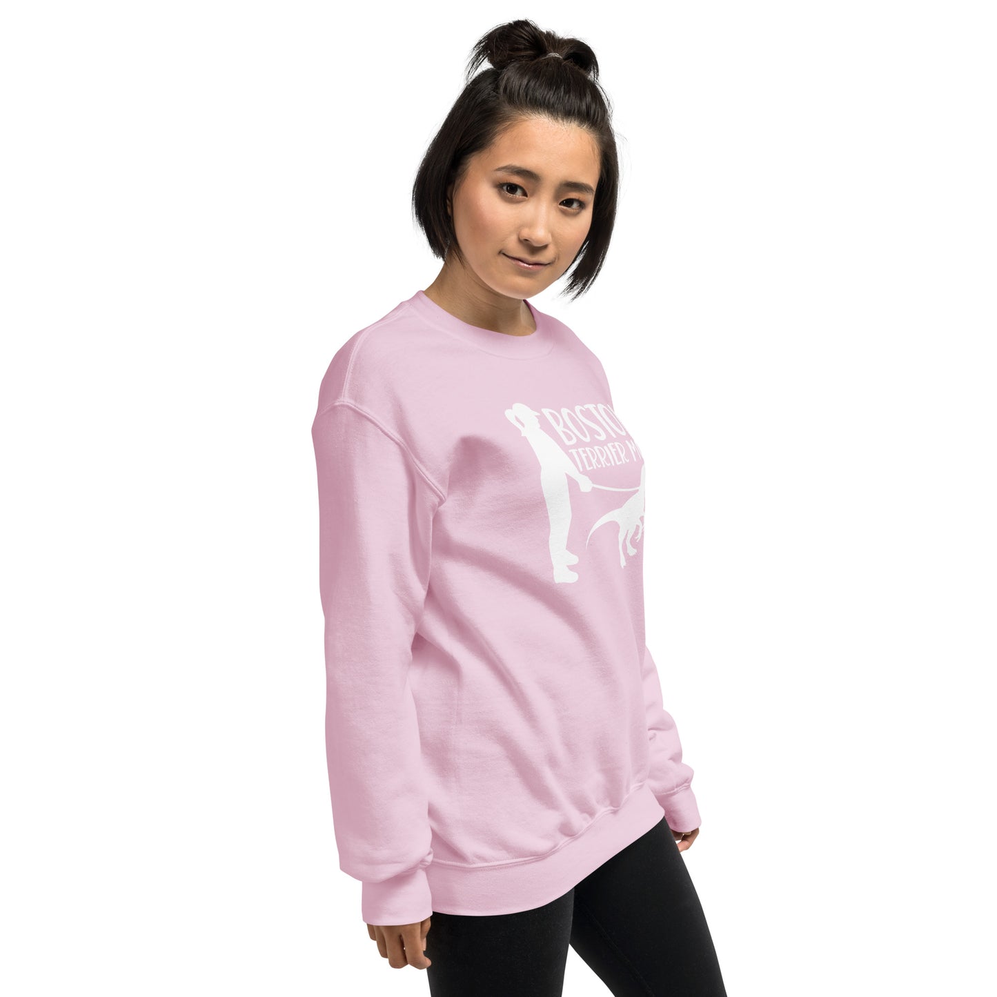 Boston Terrier Mom Dinosaur Sweatshirt