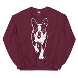 Boston Terrier Stencil Graphic – Minimalist Dog Lover Unisex Sweatshirt . Maroon