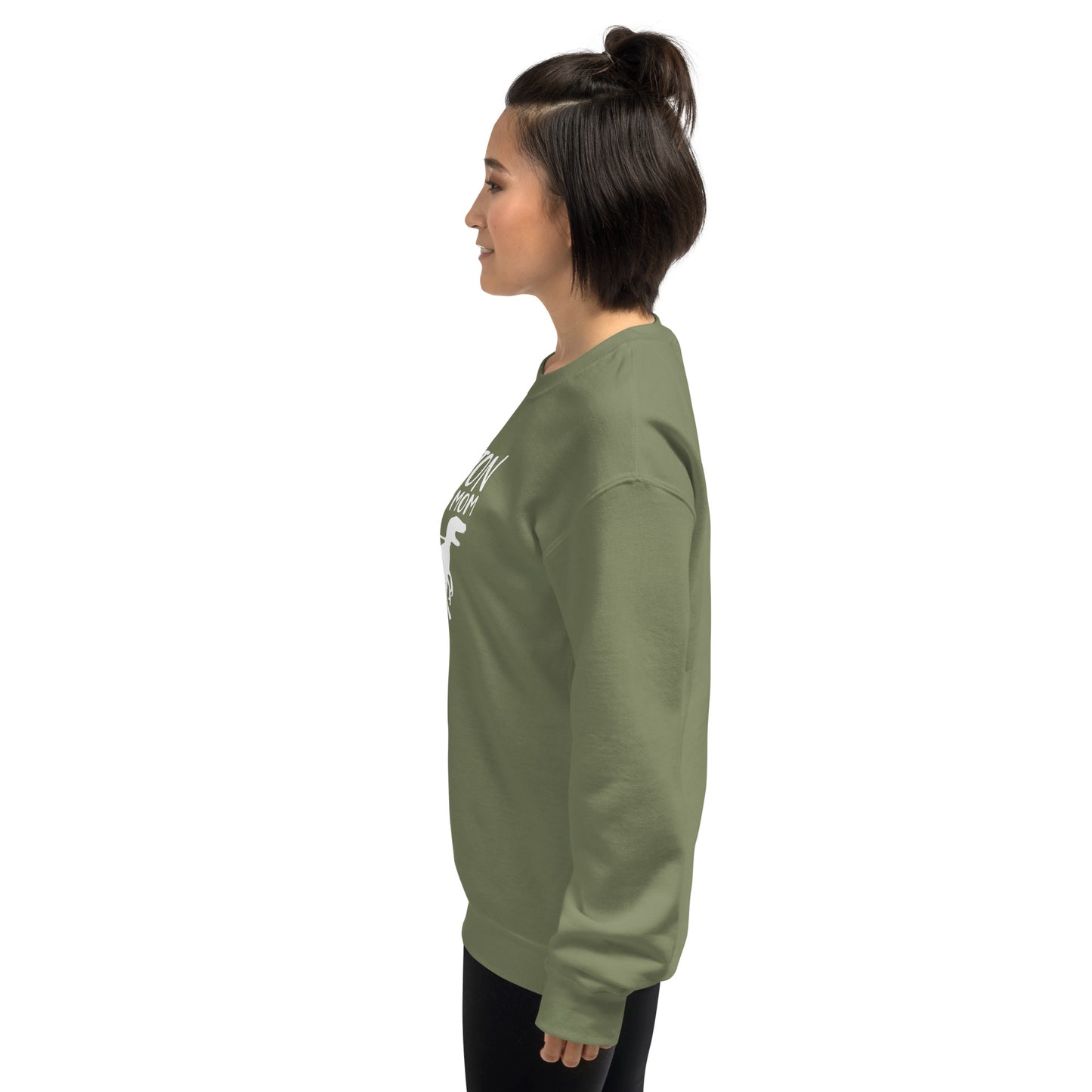 Boston Terrier Mom Dinosaur Sweatshirt
