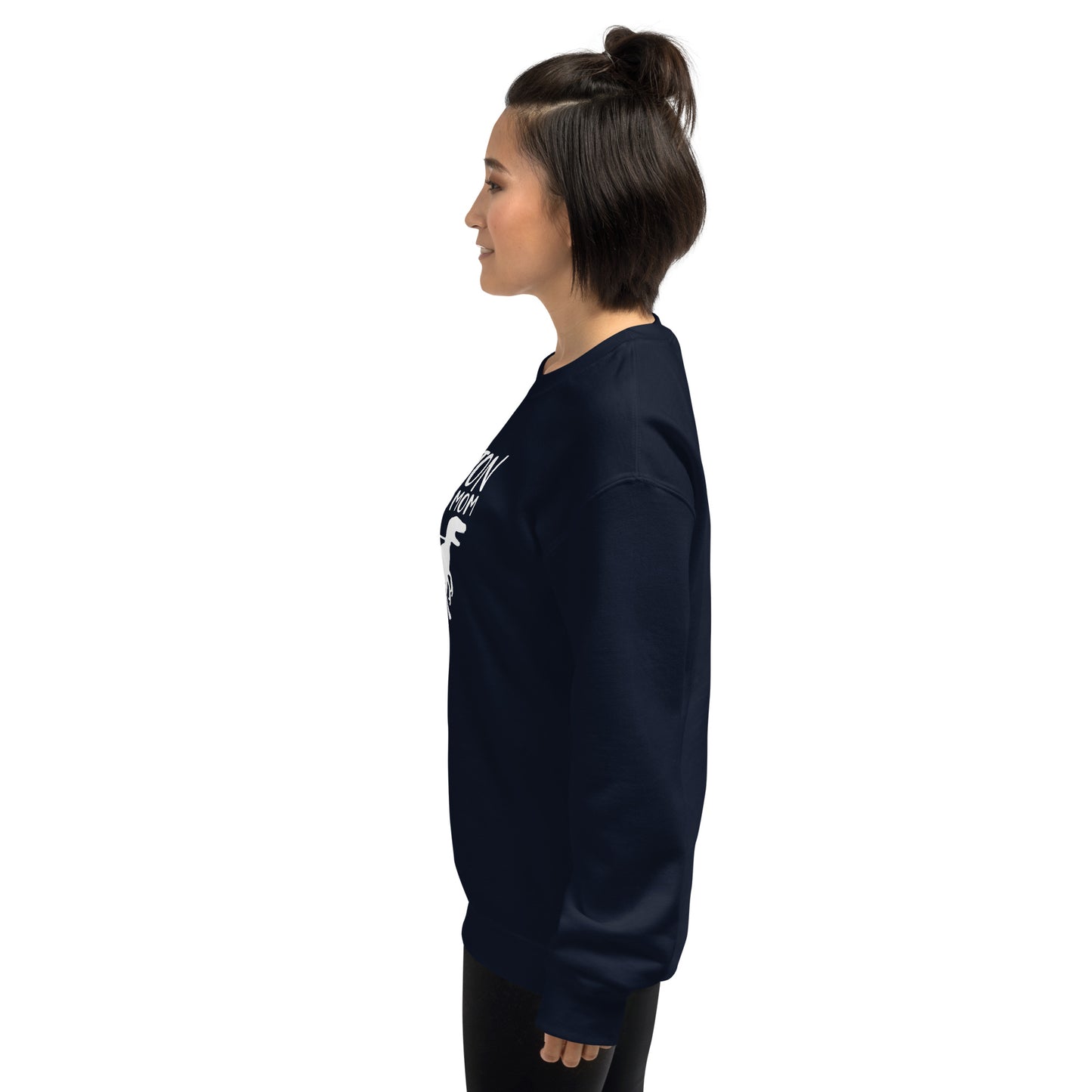Boston Terrier Mom Dinosaur Sweatshirt