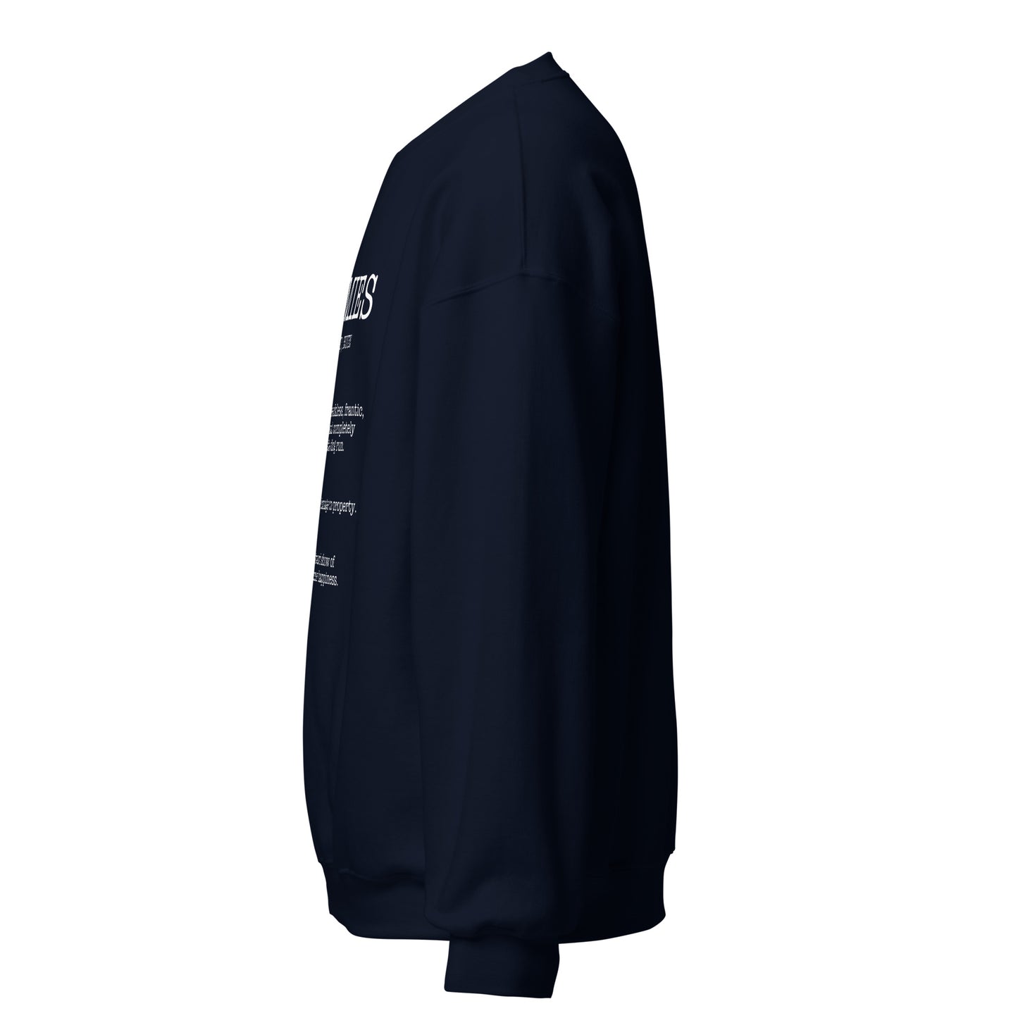 Zoomies Definition Unisex Sweatshirt