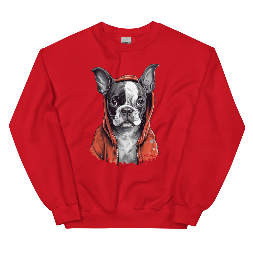 Boston Terrier in a Red Hoodie Sweatshirt