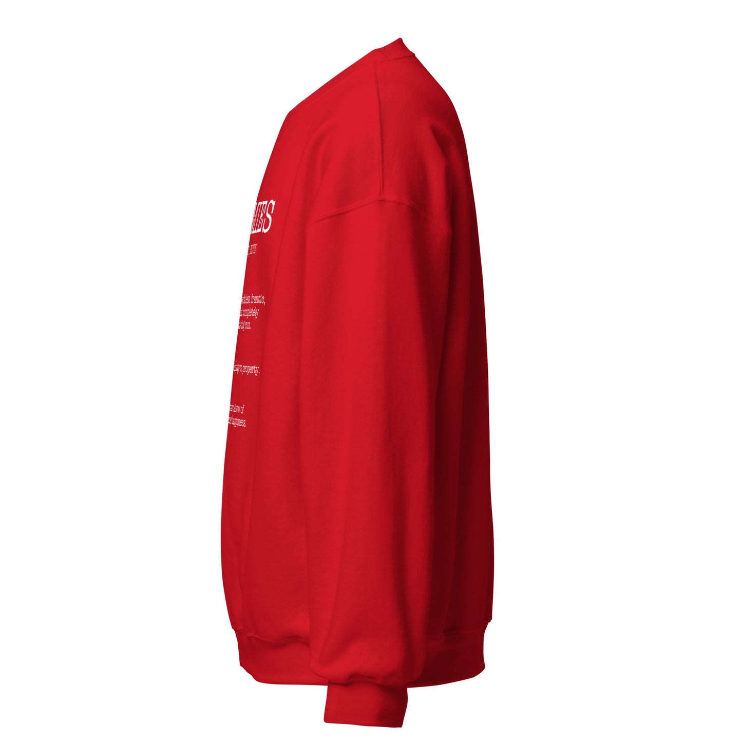 Zoomies Definition Unisex Sweatshirt