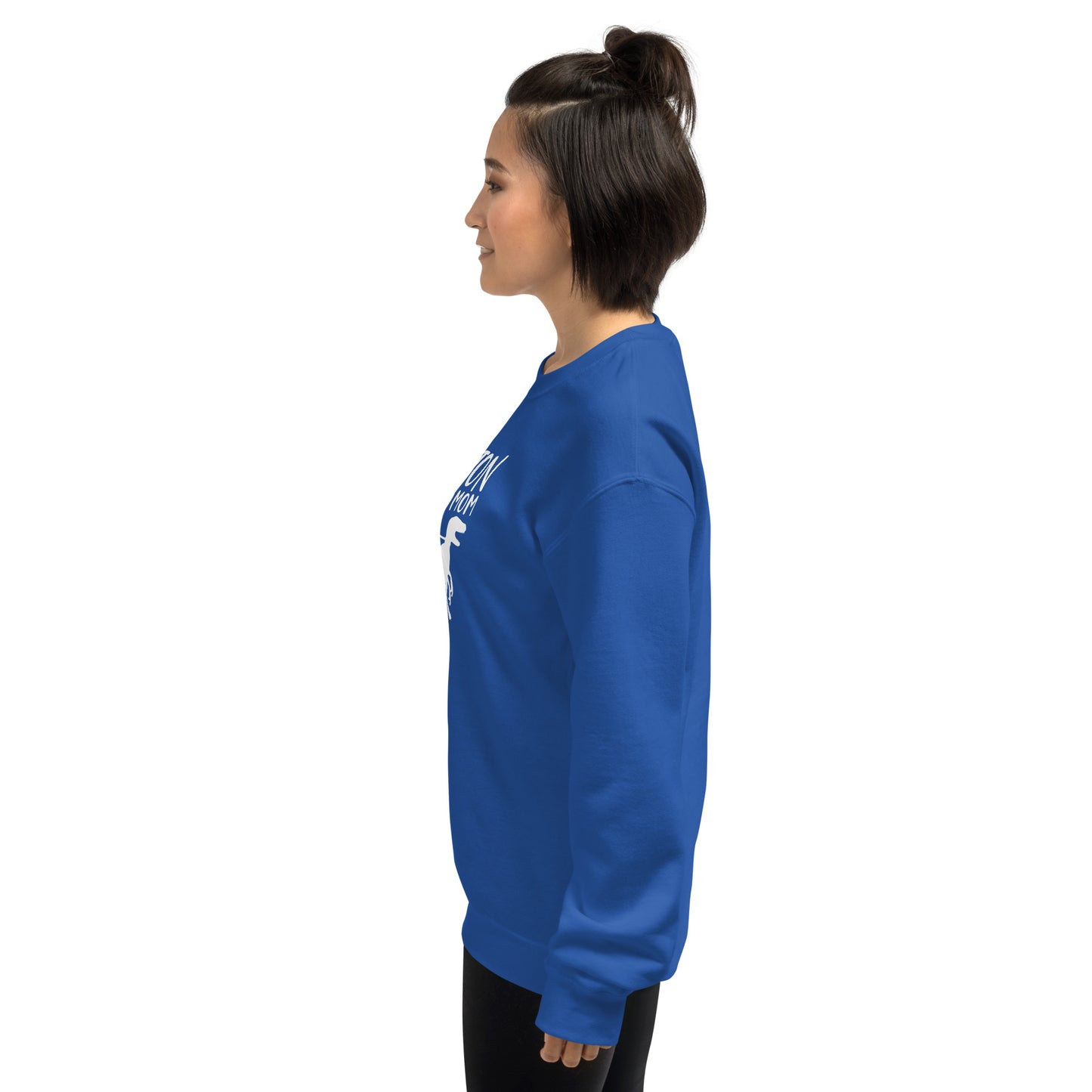 Boston Terrier Mom Dinosaur Sweatshirt