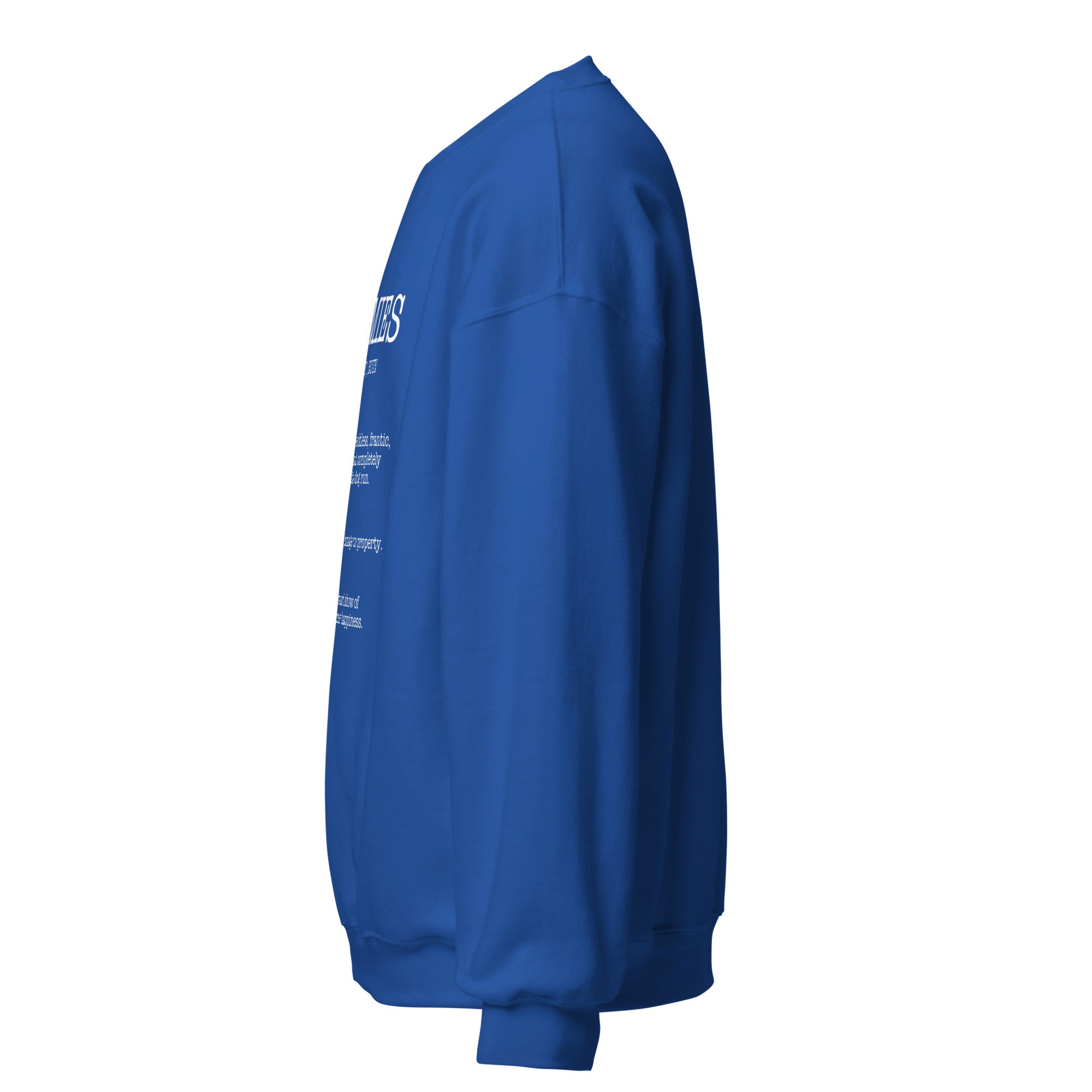 Zoomies Definition Unisex Sweatshirt