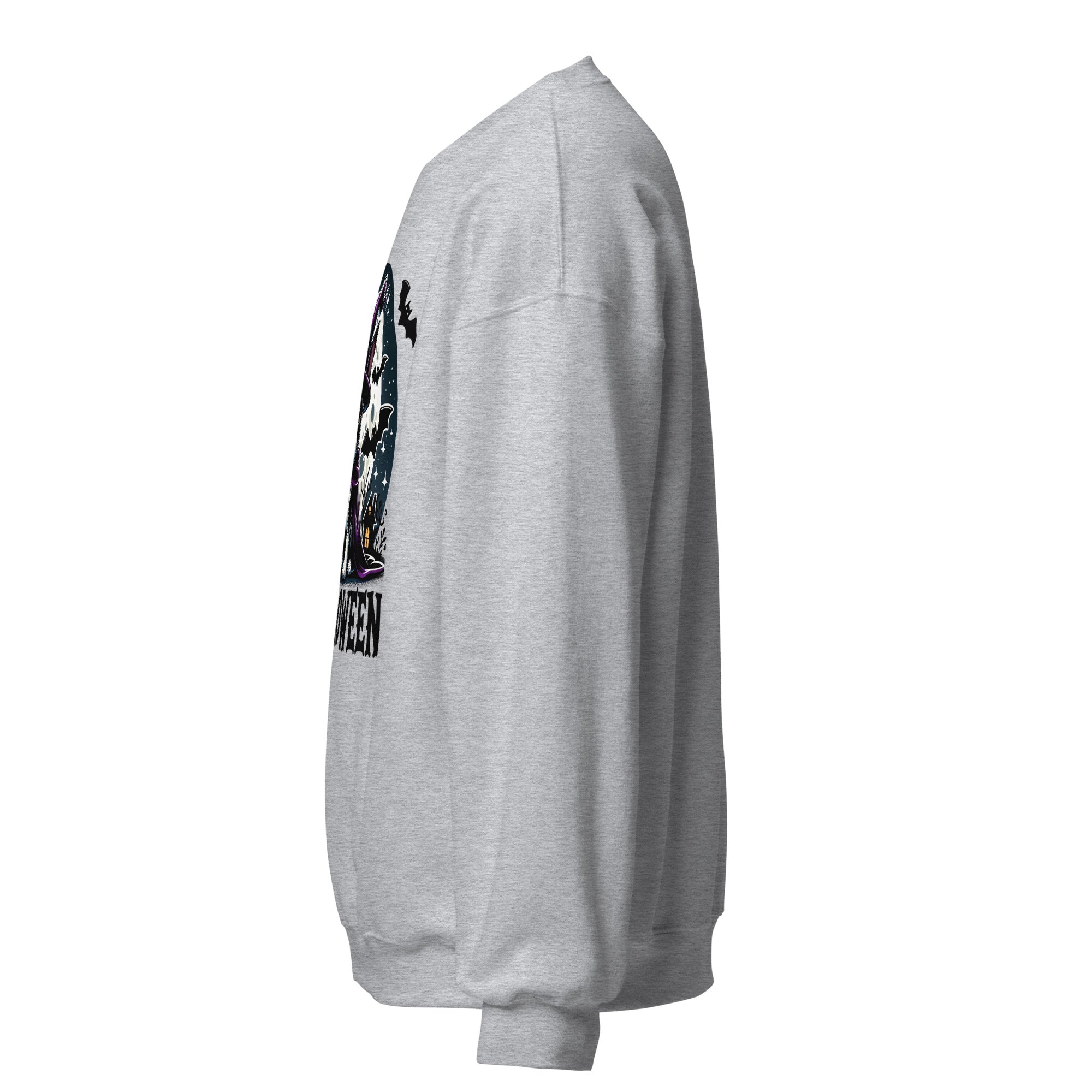 Halloween Witch Boston Terrier Unisex Sweatshirt